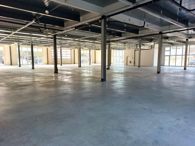 Atelier/dépôt 500m2  à Puidoux - Proche autoroute (2)