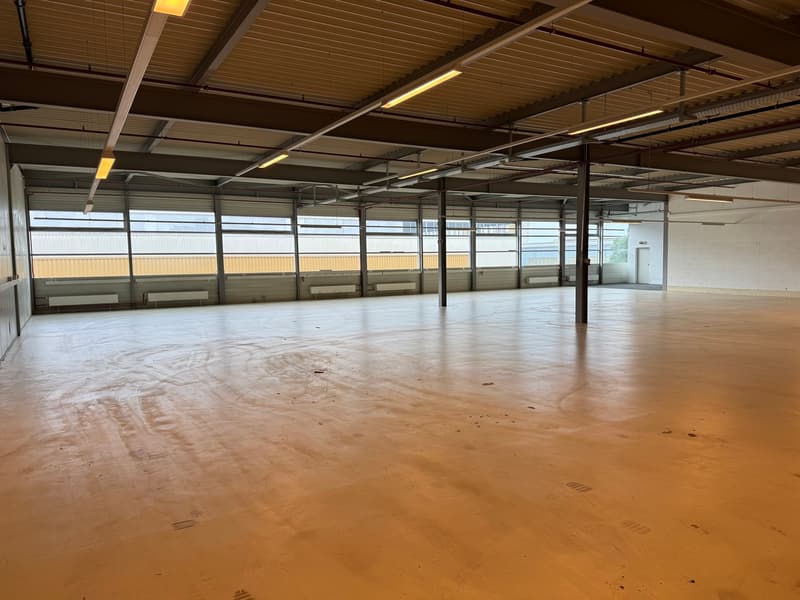 Opportunité -  ZI Champ-Colin - belle surface de 690m2 (3 mois offert) (3)