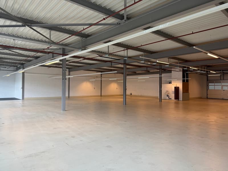 Opportunité -  ZI Champ-Colin - belle surface de 690m2 (3 mois offert) (5)