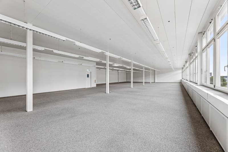 Spazio commerciale luminoso e flessibile a Muri (2)