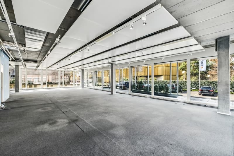 Espace au rez-de-chaussée moderne dans un immeuble de bureaux de haute qualité à Steinhausen (3)