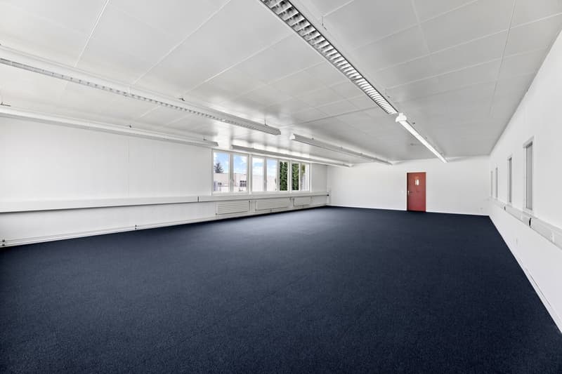 Flexible commercial space with daylight (7)