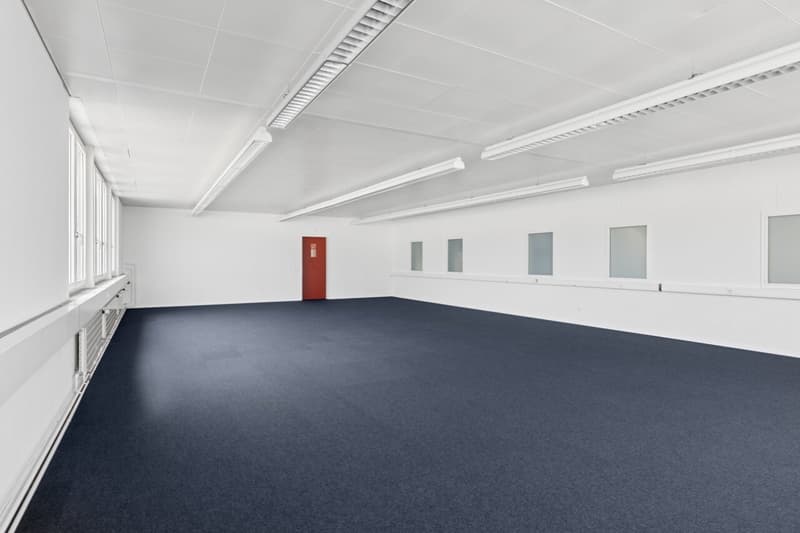 Flexible commercial space with daylight (10)