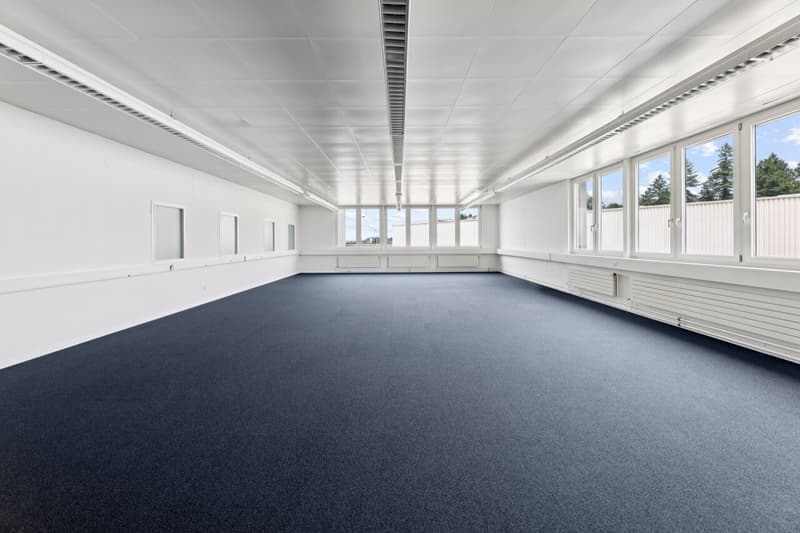 Flexible commercial space with daylight (2)