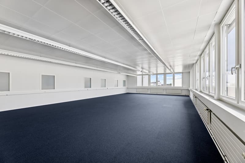Flexible commercial space with daylight (6)