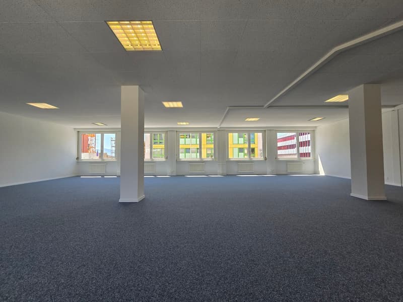 Bureau au 1er étage - 237m2 (2)