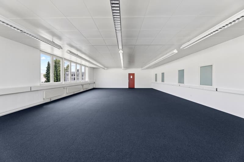 Espace commercial flexible avec lumière du jour (8)