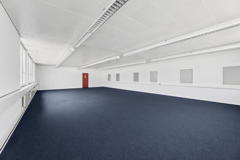 Espace commercial flexible avec lumière du jour (9)