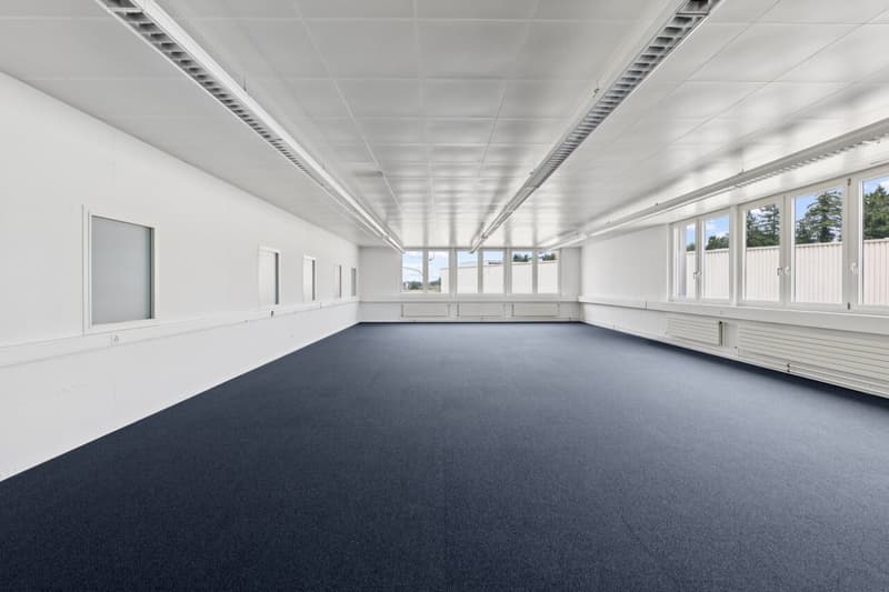Espace commercial flexible avec lumière du jour (5)
