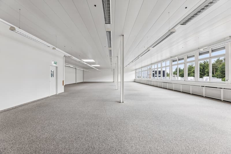 Espace commercial lumineux et flexible à Muri (2)