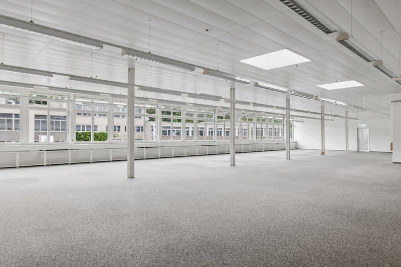 Espace commercial lumineux et flexible à Muri (4)