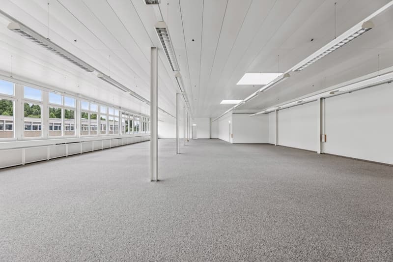 Espace commercial lumineux et flexible à Muri (5)