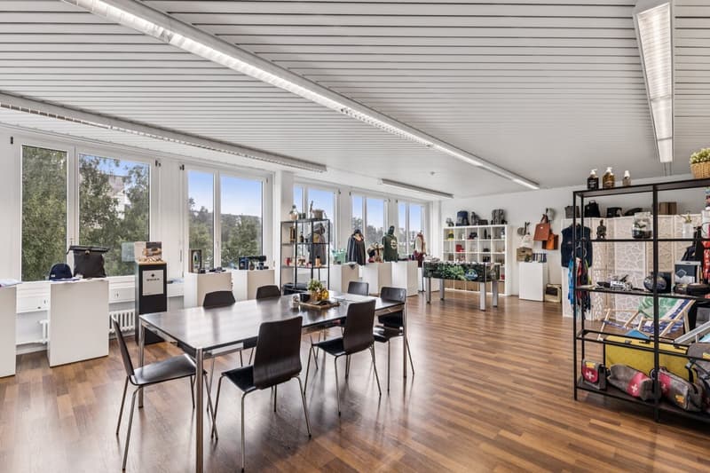 Ihr neues Büro mit Weitblick - Inspirierend und vielfältig! (3)