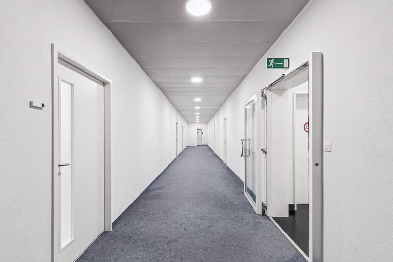 Espace frais pour de nouvelles idées à Kloten (6)