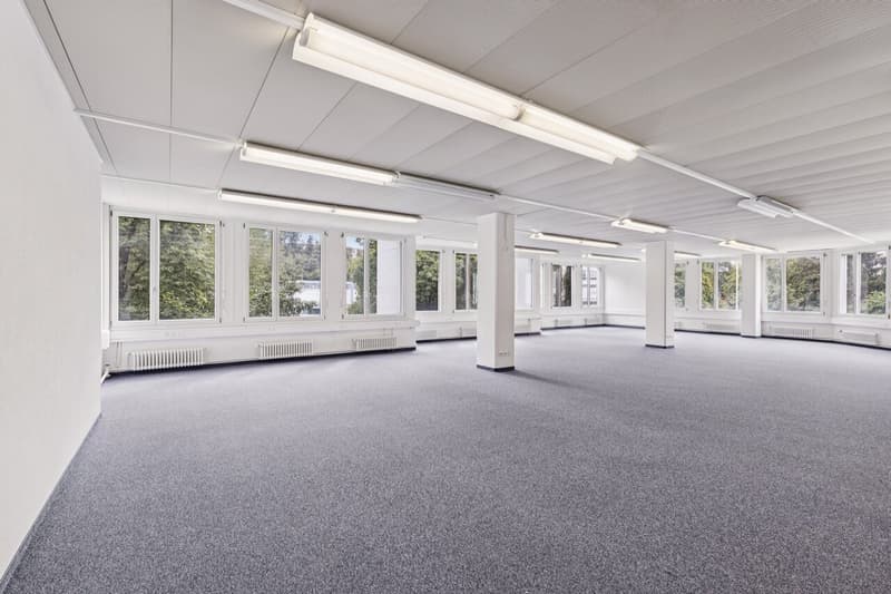 Espace frais pour de nouvelles idées à Kloten (4)