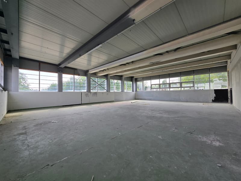 Excellente situation - Atelier / dépôt - 288m² - Crissier (3)