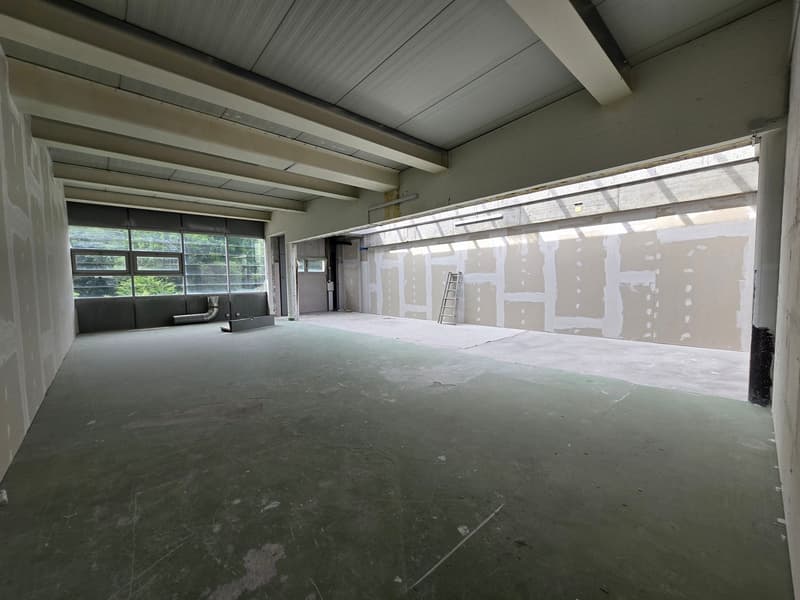 Excellente situation - Atelier / dépôt - 288m² - Crissier (4)