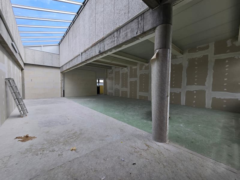 Excellente situation - Atelier / dépôt - 288m² - Crissier (2)