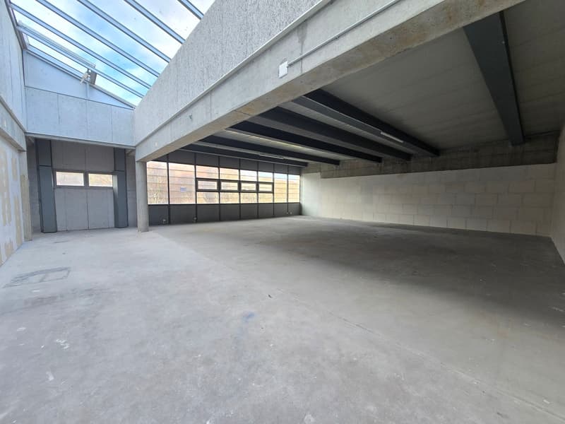 Excellente situation - Atelier - 158m² - Crissier - 1er loyer offert ! (2)