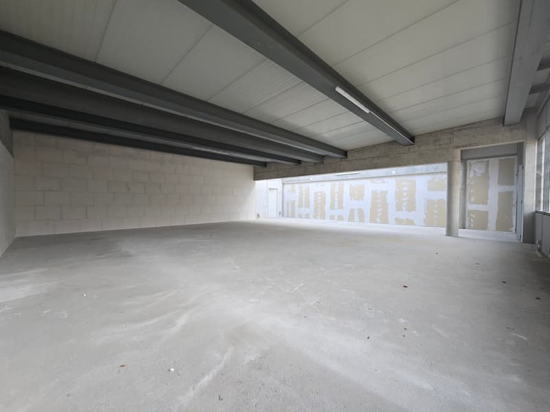 Excellente situation - Atelier - 158m² - Crissier - 1er loyer offert ! (3)
