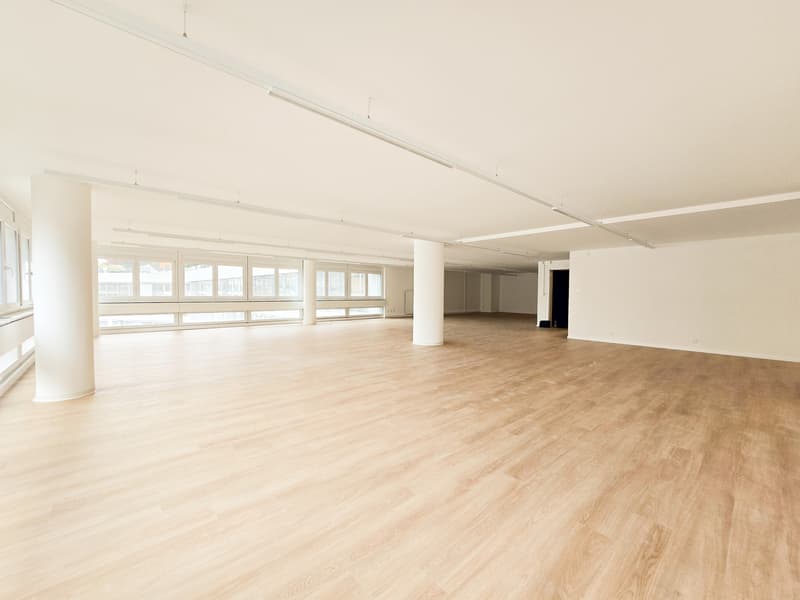 Bureau rénové de 230m2 - Centre-ville de Lausanne (4)