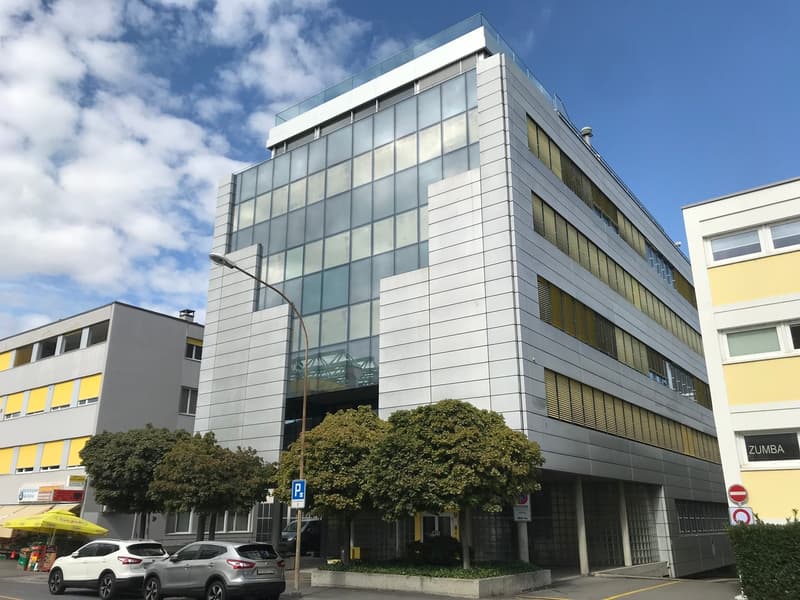 Atelier/dépôt 68m2 à Renens - proximité autoroute/gare - Bail flexibe (3)
