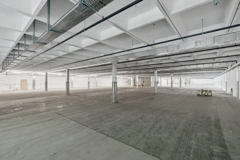 Dépôt de 2200 m² à louer - Onnens (4)