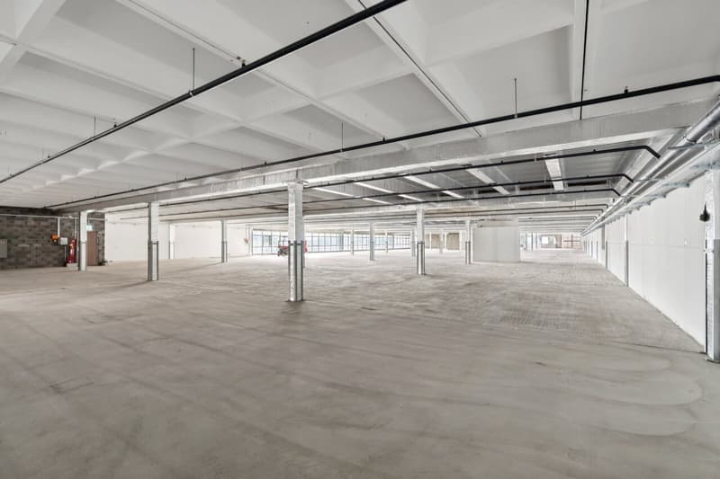 Dépôt de 2200 m² à louer - Onnens (2)