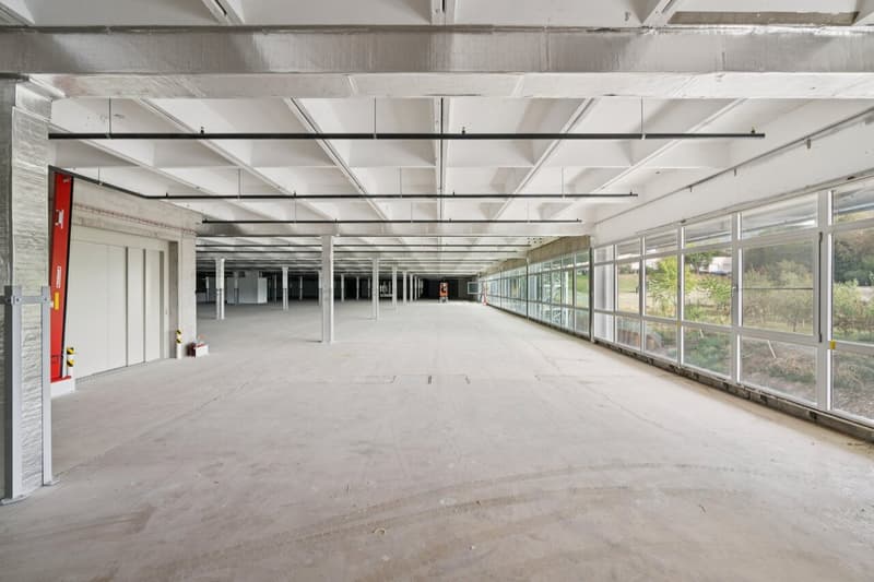 Dépôt de 1000 m² à louer - Onnens (5)