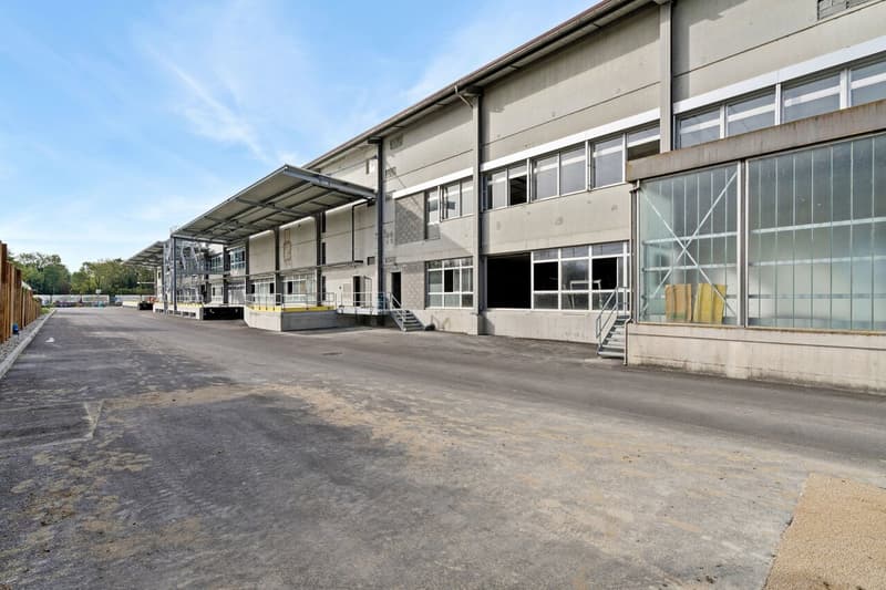 Dépôt de 1000 m² à louer - Onnens (8)