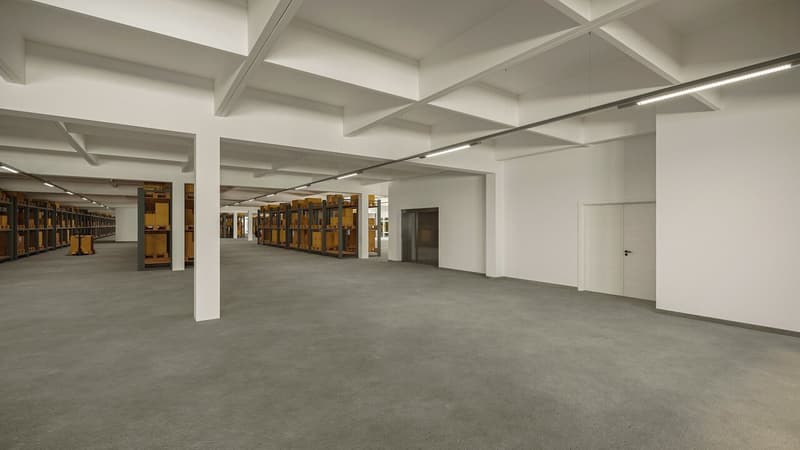 Dépôt de 4590 m² à louer - Onnens (4)