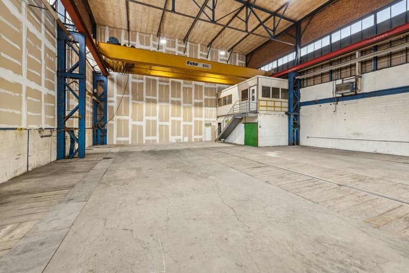 Grosszügige Industriehalle mit vielseitigen Nutzungsmöglichkeiten (3)