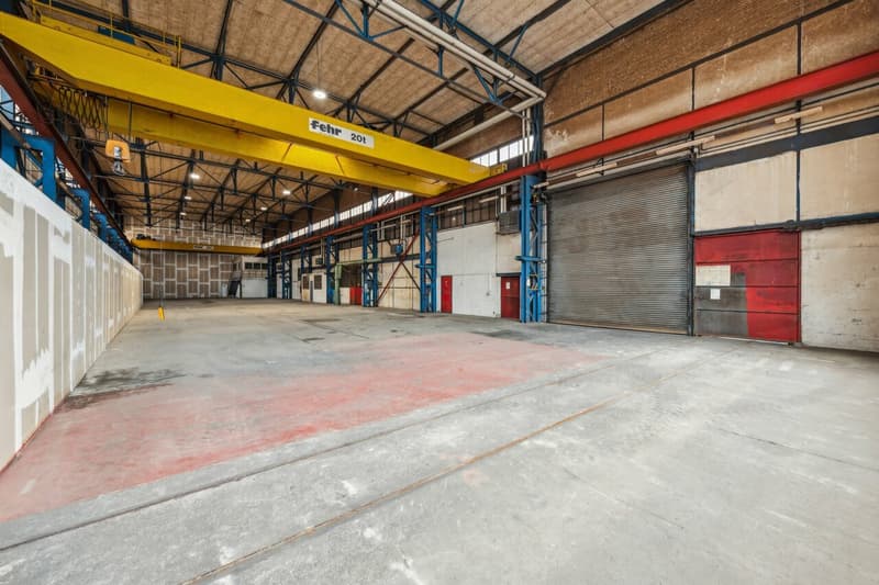 Grosszügige Industriehalle mit vielseitigen Nutzungsmöglichkeiten (5)