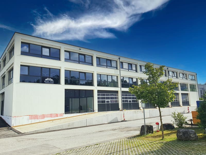 Commercial/atelier 183 m2 - Bail flexible (4)