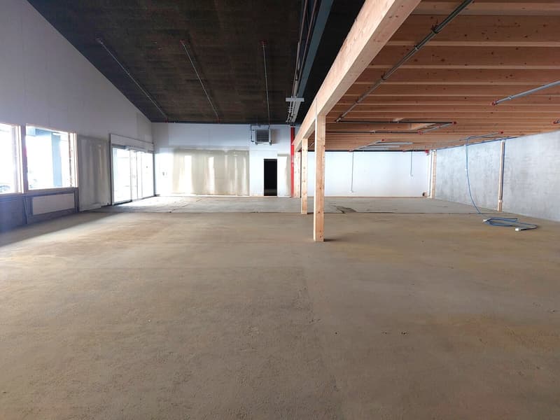 Surface commerciale 799 m2 -  Plusieurs places de parc - Hauteur 4.5 (2)