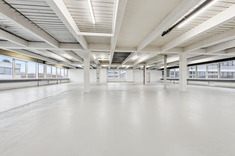 Commercial space or studio with office and production area (7)