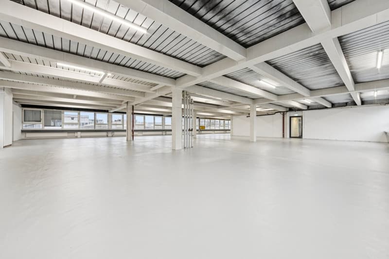 Commercial space or studio with office and production area (8)