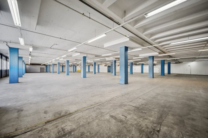 Votre nouveau site logistique directement sur la A1 à Dietikon (7)