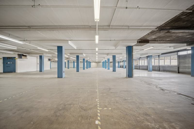 Votre nouveau site logistique directement sur la A1 à Dietikon (6)