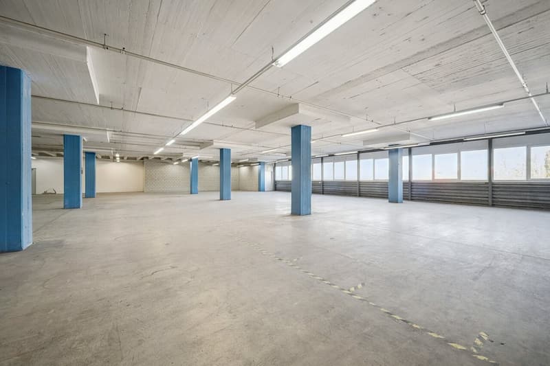 Votre nouveau site logistique directement sur la A1 à Dietikon (2)
