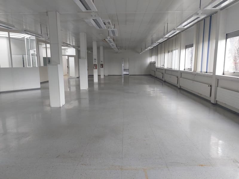 Atelier dès 78 m² à louer - Dépôt / atelier (5)
