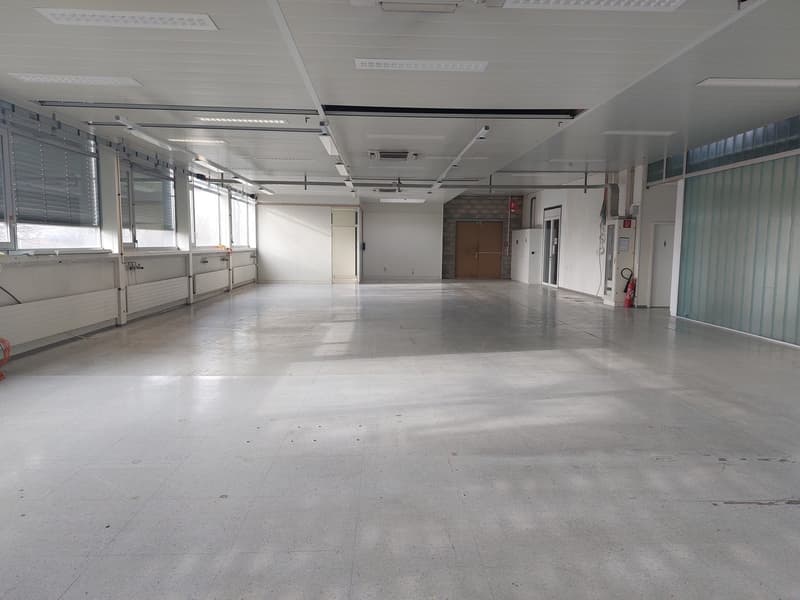 Atelier dès 78 m² à louer - Dépôt / atelier (3)