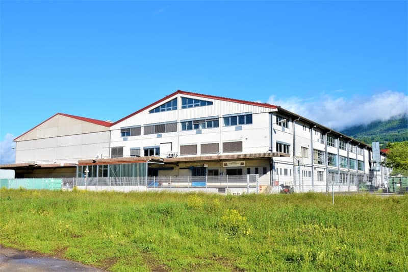 Localisation stratégique - Halle logistique 13'800 m² (3)