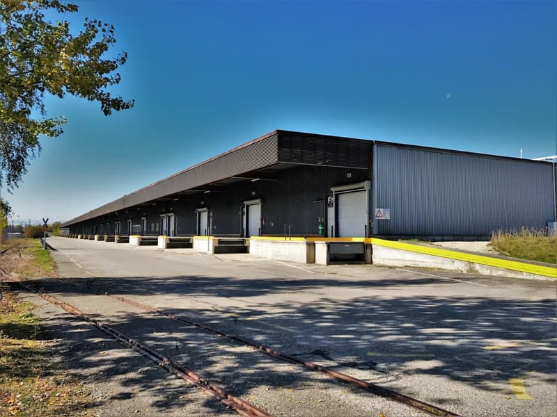 Localisation stratégique - Halle logistique 4'530m² (2)