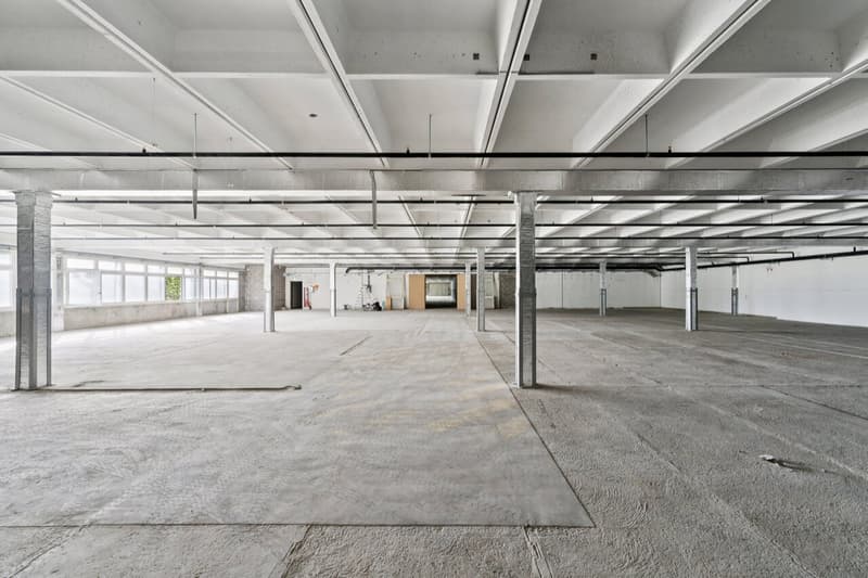 Atelier de 1000 m² à louer - Onnens (5)