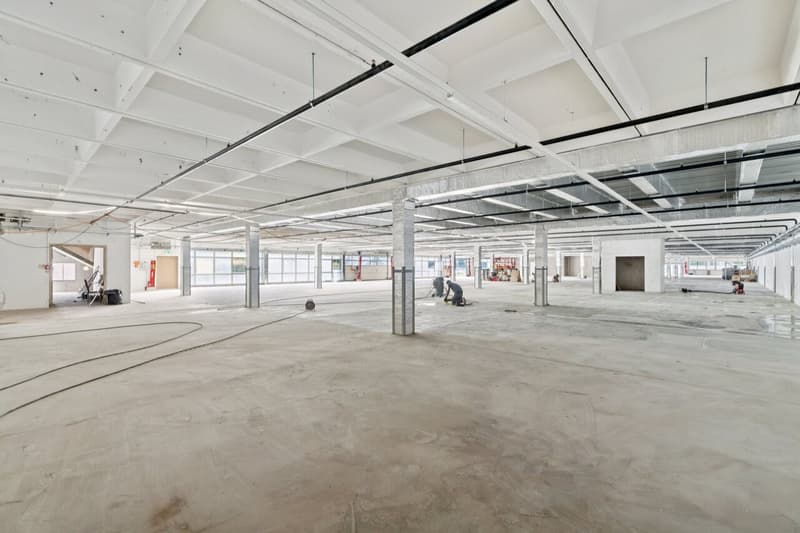 Atelier de 880 m² à louer - Onnens (2)