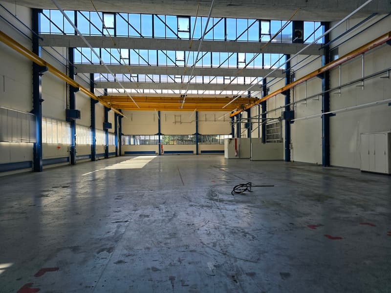 En bordure de Neuchâtel - Halle indsutrielle de 1'500m2 (2)