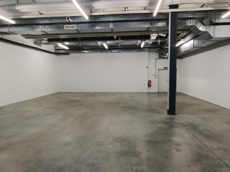 Atelier/dépôt 230m2 à Puidoux - Proche autoroute (4)