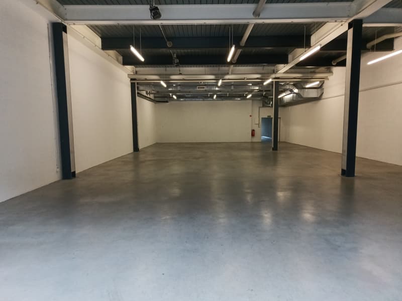 Atelier/dépôt 230m2 à Puidoux - Proche autoroute (2)