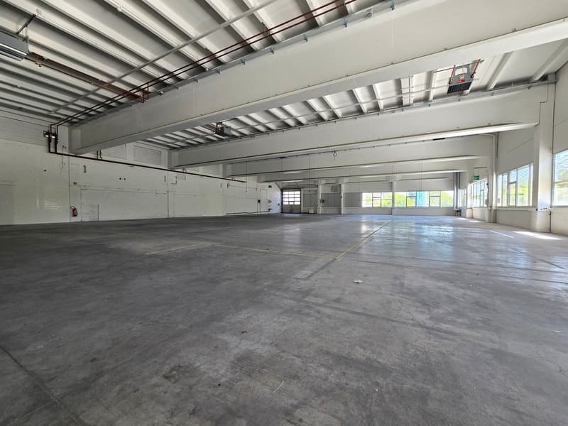 Halle industrielle/logistique de 1066m2² à louer - Rez-de-chaussée - accès direct - Boudry (3)